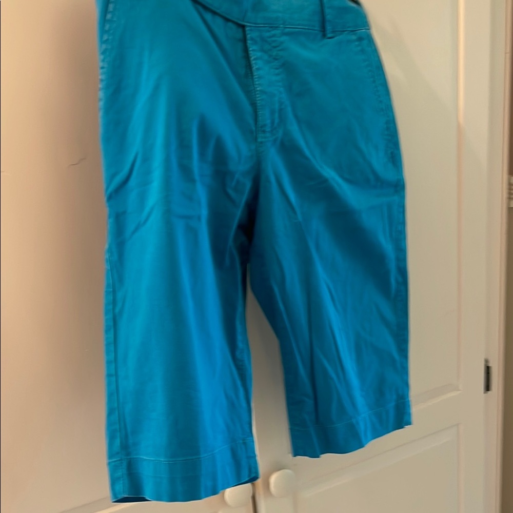 Bandolino Blue Flat Front Shorts